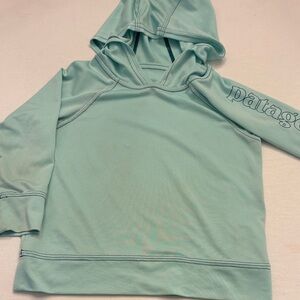 Patagonia Light Blue Hoodie